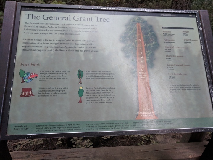 Some Sequoia fun facts